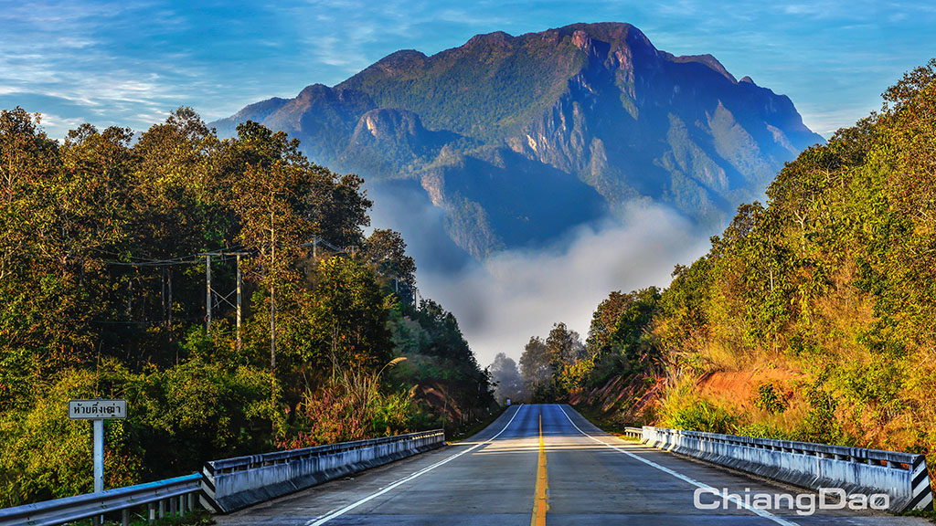 ดอยหลวงเชียงดาว